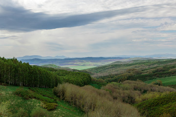 Summer rainy landscape with trees, bushes and grass against the background of an expressive sky with contrasting clouds.