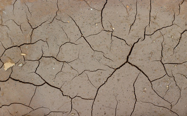 Partly wet cracked soil for background and texture. Natural mosaic pattern on ground. Climate change impacts. Top view.