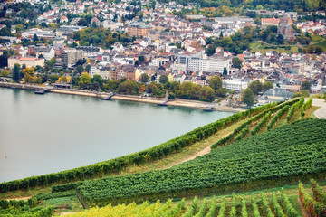 Landscape with small german town, agriculture field, forest, vineyard and tourist route. Shot made from observation spot