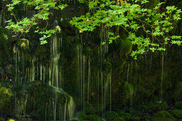 Obraz premium 秋田県 元滝伏流水