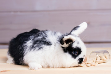 little rabbit on wooden background with a can of vitamins and a vaccine. Vitamin problem, vaccination, treatment