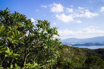 Fototapeta na wymiar Landscape of Itoshima from mountain in Itoshima, Fukuoka, Japan. In image, there are small islands in the sea of Genkai.