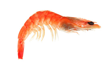 fresh boiled shrimp isolated on white background