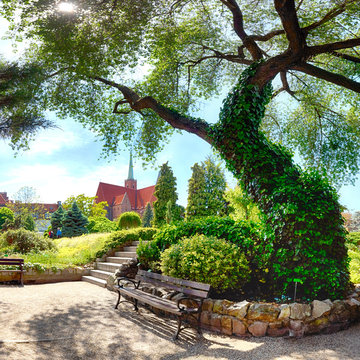 WROCLAW, POLAND - MAY 30, 2019: Botanical Garden in Wroclaw, Poland. The garden was built from 1811 to 1816 on the Cathedral Island (Ostrow Tumski), the oldest part of the city.