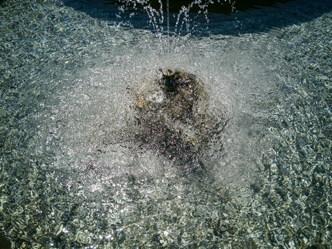 Acqua pulita potabile bene dell'umanit&agrave; da preservare nell'ambiente protetto della natura