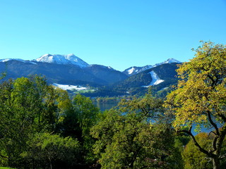 Süddeutsche Landschaft mit grünen Blättern und einem Schneefeld und schneebedecktem Berg