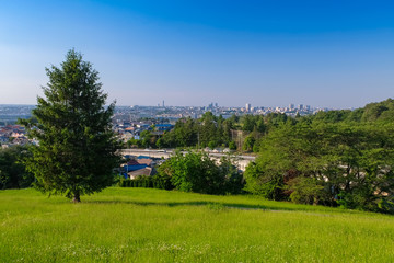 多摩市 都立桜ヶ丘公園 ゆうひの丘