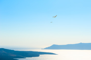 Fototapeta na wymiar Seagulls soar in the blue sky over the sea. Santorini island, Greece