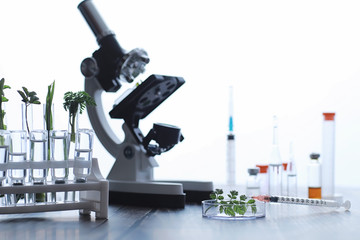 Microscope and test partings on the table in the laboratory.