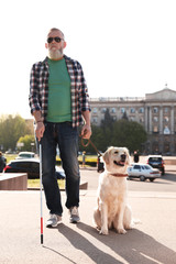 Guide dog helping blind person with long cane walking outdoors