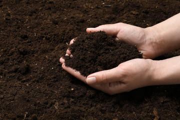 Woman holding fertile soil in hands, closeup. Gardening season
