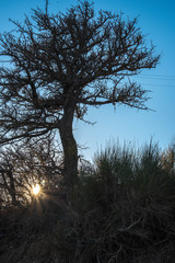 panoramic view of the islands and volcano Sicily