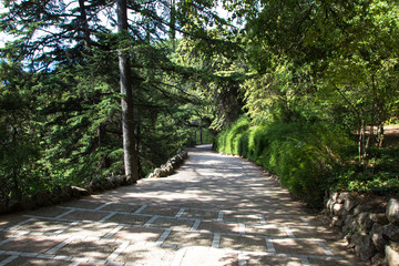 path in park