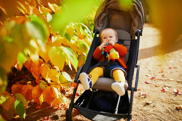 girl in bright stylish clothes sitting in pushchair outdoors on a fall day