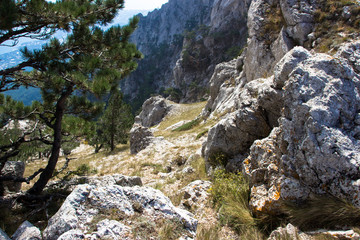  rocky slope in the mountains