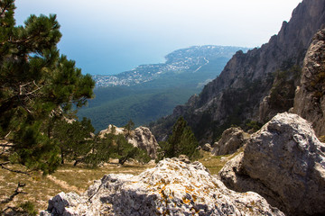  view of the city from the mountain