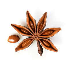 Star anise. Single star anise fruit with one seed. Macro close up Isolated on white square background with shadow, top view of chinese badiane spice or Illicium verum.
