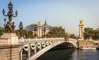 Photo sur Plexiglas Pont Alexandre III The Alexandre III bridge with the Grand Palais in Paris
