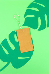 empty mock up label and tropical monstera paper cut leaves summer sale concept