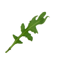 leaf of arugula isolated on white  background