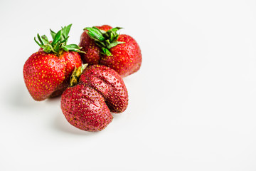 ugly strawberry on white background isolated
