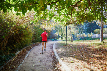 Fototapeta na wymiar Man jogging in park of Paris, France