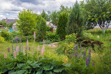  Small  and  beautiful  garden near  Minsk Belarus