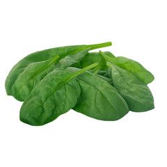 heap of spinach isolated on white background