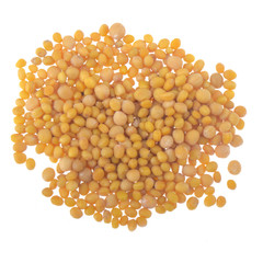 heap of seeds of yelow mustard isolated on white background. top view