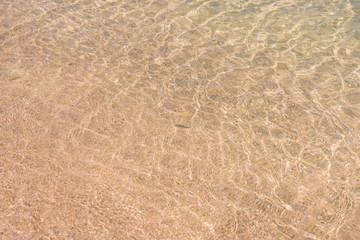 tiny tropical fish swimming in the transparent and luminous water sea of okinawa in summer
