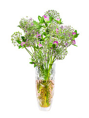 still life, flowers, a bouquet of flowers in a vase