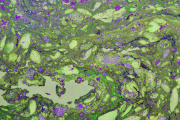 Beautiful abstract painting is a painting technique Ebru .Turkish Ebru style on the water with acrylic paints wring wave.Stylish combination of luxury.Contemporary art marble liquid texture 