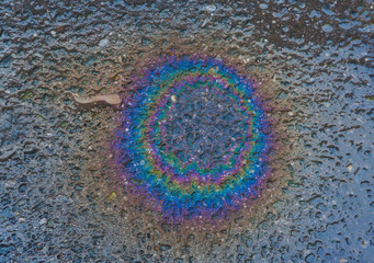 colorful gasoline spot on wet asphalt photo for loft design decoration