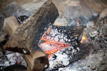 Burning Campfire Wood