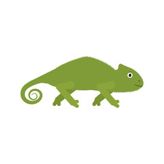 Chameleon icon in flat style, african animal vector illustration