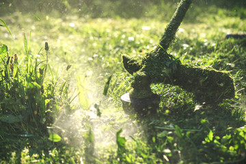 String gas trimmer mowing the grass. Care lawn. Brush cutter. Gardening