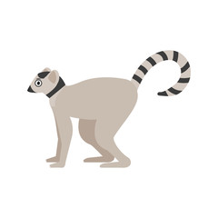Lemur icon in flat style, african animal vector illustration