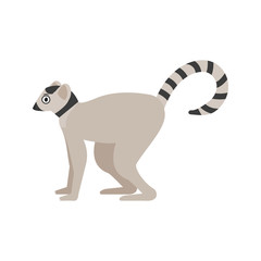 Obraz premium Lemur icon in flat style, african animal vector illustration