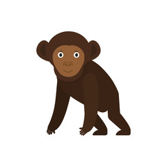 Chimpanzee icon in flat style, african animal vector illustration