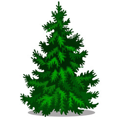 Christmas tree isolated on white background. Sample of poster, party holiday invitation, festive card. Vector cartoon close-up illustration.