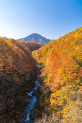 Nakatsugawa Fukushima Autumn