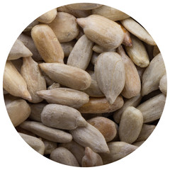 Obraz premium shelled seeds of sunflower background