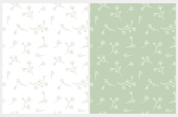 Cute Hand Drawn Floral Vector Patterns. Light Green and White Floral Repeatable Design for Fabric, Wrapping Paper, Cover, Printining. Pastel Green and White Background. 