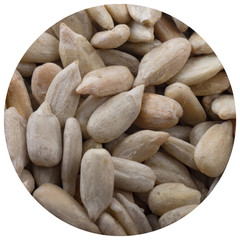 shelled seeds of sunflower background