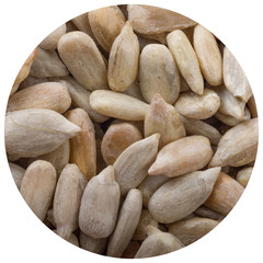 shelled seeds of sunflower background