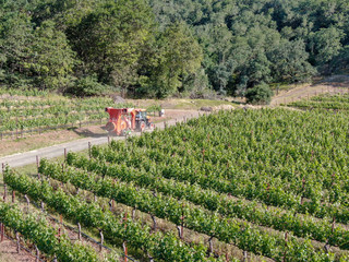 Farm tractor spraying pesticides & insecticides herbicides over green vineyard field. Napa Valley, Napa County, California, USA