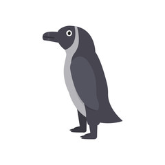 Penguin icon in flat style, african animal vector illustration