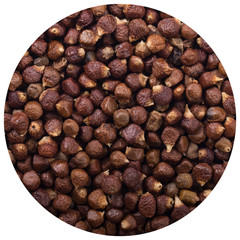 Grains of paradise background