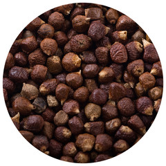 Grains of paradise background