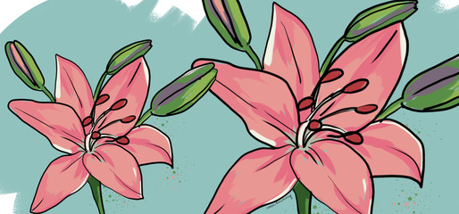 lilie © www.rauschsinnig.de